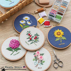Embroidery Kit- Needlework for Beginner- Cross Stitch set/ DIY手工刺绣材料包- 初学者绣花套件小款