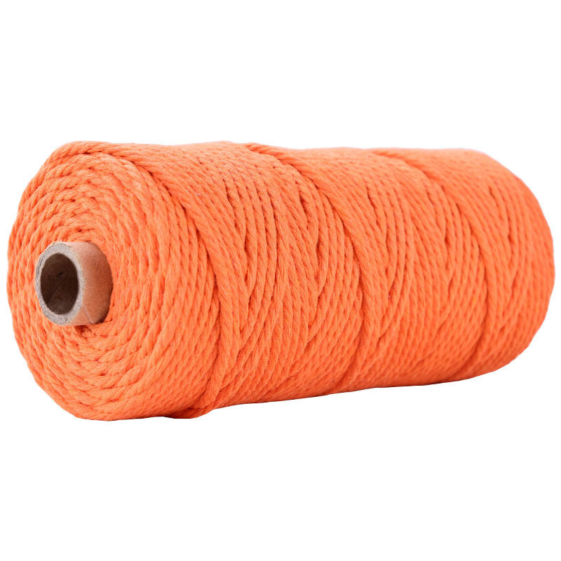 3mm Colorful Cotton Rope 100 meters | DIY Macrame Craft Cord | Thick Twisted String | Cotton Cord Yarn