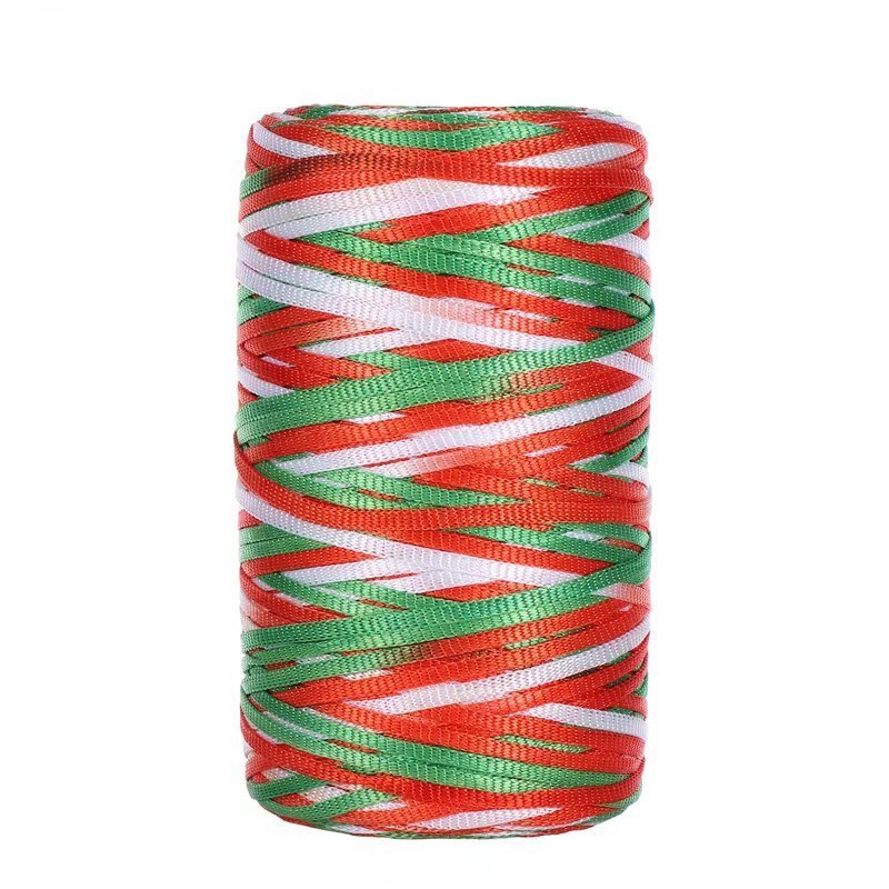 100g- Flat Ribbon Yarn 3mm | Tape Yarn | Benang Kait Nylon Riben Yarn