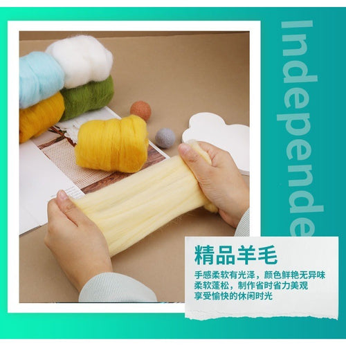 24 Colors Needle Felting Kit with 100% Wool Roving DIY Wool Felt Craft Set Sapele Wood Needles 47PCS Tools